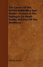 The Larvae of the British Butterflies and Moths - Volume II the Sphinges or Hawk-Moths and Part of the Bombyces