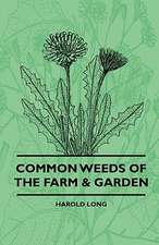 Common Weeds Of The Farm & Garden