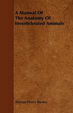 A Manual Of The Anatomy Of Invertebrated Animals