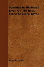 Sunshine In Shadowed Lives Or The Royal Secret Of Morg. Bayne