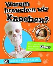 Warum brauchen wir Knochen?