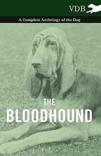 The Bloodhound - A Complete Anthology of the Dog -