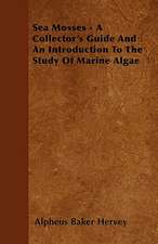 Sea Mosses - A Collector's Guide And An Introduction To The Study Of Marine Algae