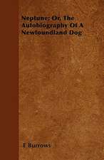 Neptune; Or, The Autobiography Of A Newfoundland Dog