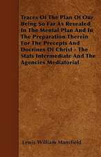 Traces Of The Plan Of Our Being So Far As Revealed In The Mental Plan And In The Preparation Therein For The Precepts And Docrines Of Christ - The Stats Intermediate And The Agencies Mediatorial