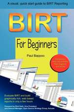 Birt for Beginners