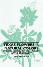 Texas Flowers in Natural Colors - Including Many Common Plants of the Southwest