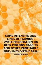 Some Intensive Side-Lines of Farming - With Information on Bees, Pigeons, Rabbits and Other Profitable Side-Lines on the Farm