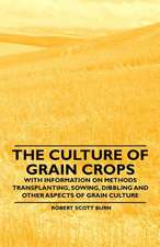 The Culture of Grain Crops - With Information on Methods Transplanting, Sowing, Dibbling and Other Aspects of Grain Culture