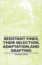 Resistant Vines; their Selection, Adaptation, and Grafting