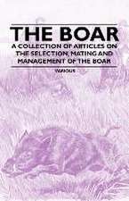 The Boar - A Collection of Articles on the Selection, Mating and Management of the Boar