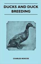 Ducks and Duck Breeding