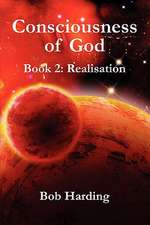 Consciousness of God Book 2: Realisation