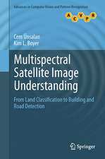 Multispectral Satellite Image Understanding: From Land Classification to Building and Road Detection