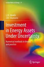 Investment in Energy Assets Under Uncertainty: Numerical methods in theory and practice