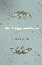 Birds' Eggs and Nests