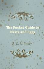 The Pocket Guide to Nests and Eggs