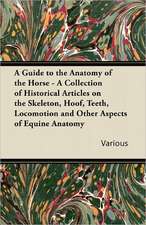 A Guide to the Anatomy of the Horse - A Collection of Historical Articles on the Skeleton, Hoof, Teeth, Locomotion and Other Aspects of Equine Anato