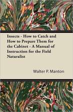 Insects - How to Catch and How to Prepare Them for the Cabinet - A Manual of Instruction for the Field Naturalist