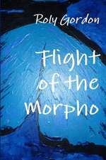 Flight of the Morpho