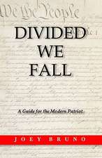 Divided We Fall: A Guide for the Modern Patriot