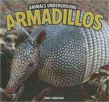 Armadillos