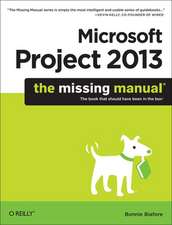 Microsoft Project 2013 – The Missing Manual