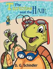 The Tortoise and the Hair