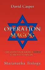 Operation Magog