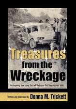 Trickett, D: Treasures from the Wreckage