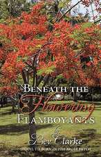 Beneath the Flowering Flamboyants