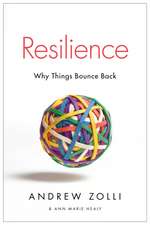 Resilience: Why Things Bounce Back