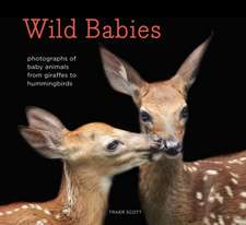 Wild Babies