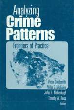 Analyzing Crime Patterns: Frontiers of Practice