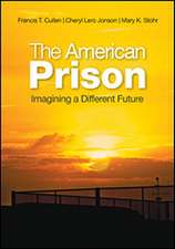 The American Prison: Imagining a Different Future