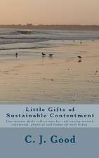 Little Gifts of Sustainable Contentment