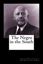 The Negro in the South: Tajh'nique Richardson