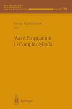 Wave Propagation in Complex Media