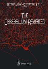 The Cerebellum Revisited