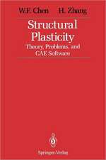 Structural Plasticity: Theory, Problems, and CAE Software