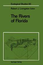 The Rivers of Florida