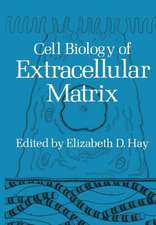 Cell Biology of Extracellular Matrix