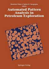 Automated Pattern Analysis in Petroleum Exploration