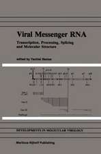 Viral Messenger RNA: Transcription, Processing, Splicing and Molecular Structure