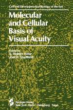 Molecular and Cellular Basis of Visual Acuity