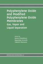 Polyphenylene Oxide and Modified Polyphenylene Oxide Membranes: Gas, Vapor and Liquid Separation