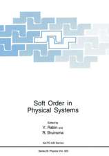 Soft Order in Physical Systems