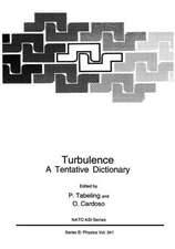 Turbulence: A Tentative Dictionary