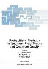 Probabilistic Methods in Quantum Field Theory and Quantum Gravity