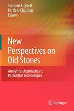 New Perspectives on Old Stones: Analytical Approaches to Paleolithic Technologies